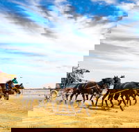 7 Day Outback Giants - Accommodation Yamba