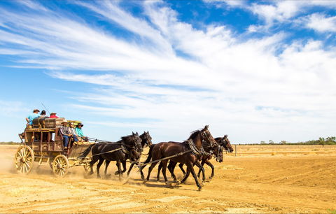 7 Day Outback Giants - Accommodation Yamba 0