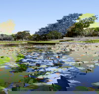 Anderson Park Botanic Gardens - Accommodation Yamba