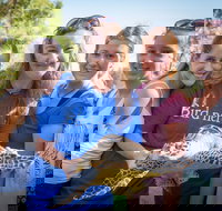 Australian Seabird Rescue - Accommodation Yamba