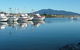 Bermagui - thumb 2