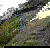 Bundidgerry Walking Track - Accommodation Yamba