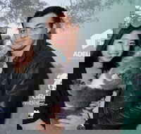 Cleland Wildlife Park - Koala Hold - Accommodation Yamba