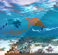 Coral Bay - Accommodation Yamba