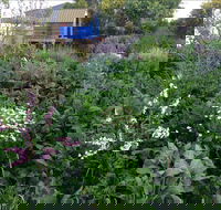 Down to Earth Permaculture - Accommodation Yamba