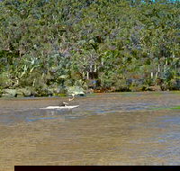 Fitzpatrick Park - Accommodation Yamba