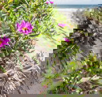 Fort Bribie - Accommodation Yamba