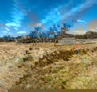 Goldseekers track - Accommodation Yamba