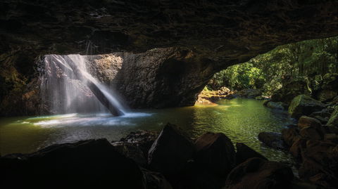 Gondwana Rainforests Of Australia World Heritage Area - Accommodation Yamba 0
