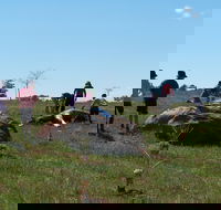 Jim Salmon  Wetland Education Site - Accommodation Yamba