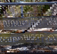 Kuriong Sheep Station - Accommodation Yamba