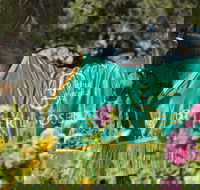 Living Legends The International Home of Rest for Champion Horses - Accommodation Yamba