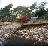 Melbourne Cup Sunday Steam Up - Accommodation Yamba