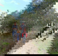 Meningie Lions Walking Trail - Accommodation Yamba