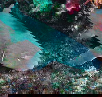 Middle Reef Dive Site - Accommodation Yamba