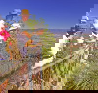 Moogerah Peaks National Park - Accommodation Yamba