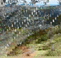 Mount Towac Walk - Accommodation Yamba