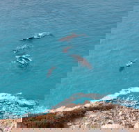 Nullarbor National Park - Accommodation Yamba