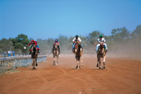 Outback Camel Festival Trail - Accommodation Yamba 2
