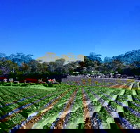 Palmview - Accommodation Yamba