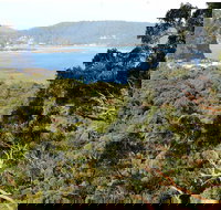 Patonga to Pearl Beach Walking Track - Accommodation Yamba