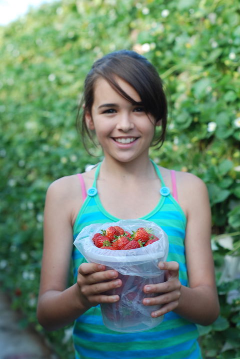 Ricardoes Tomatoes And Strawberries Farm, Port Macquarie - Accommodation Yamba 0