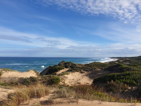Rye Ocean Beach - Accommodation Yamba 0