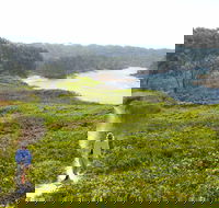 Station Creek - Accommodation Yamba