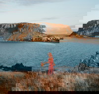 The Nut - Accommodation Yamba