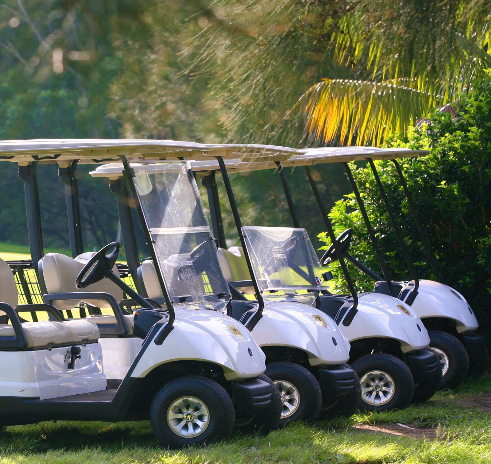Russell Vale NSW Accommodation Yamba