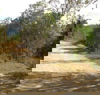 The Bloomfield Track - Accommodation Yamba
