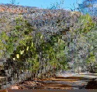 Weddin Gap to Black Spring Loop Trail - Accommodation Yamba