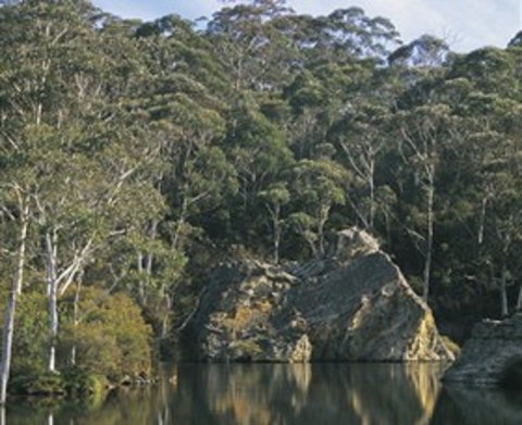 Woodford - Accommodation Yamba 0