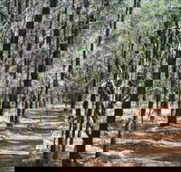 Yana-y Warruwi Walking Track - Accommodation Yamba