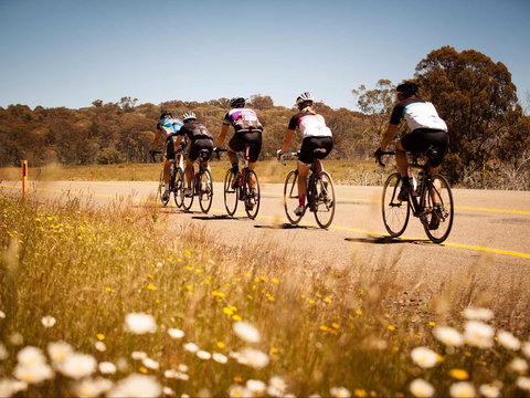7 Peaks Ride - Dinner Plain - Accommodation Yamba 0