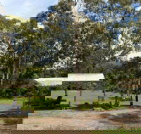 Back Creek picnic area - Accommodation Yamba