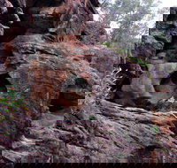 Bertha's Gully Walking Track - Accommodation Yamba