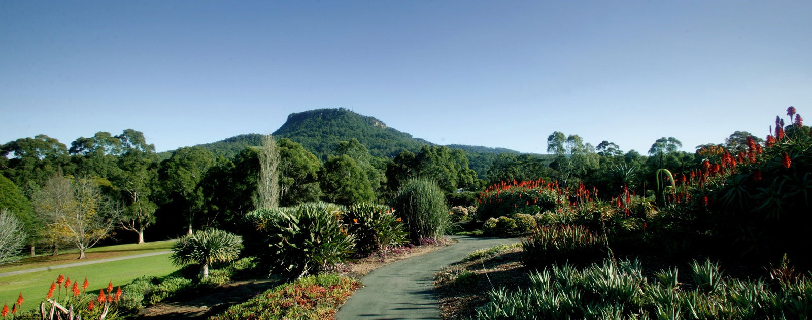 Keiraville NSW Accommodation Yamba
