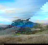 Burning Mountain Nature Reserve - Accommodation Yamba