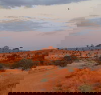Castle Rock walk and Lookout - Accommodation Yamba