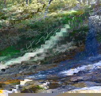 Charles Darwin walk - Accommodation Yamba