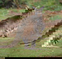 Donnelly River - Accommodation Yamba