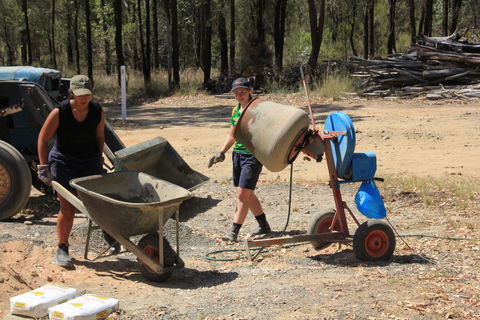 Durong Dingo Sanctuary - Accommodation Yamba 2