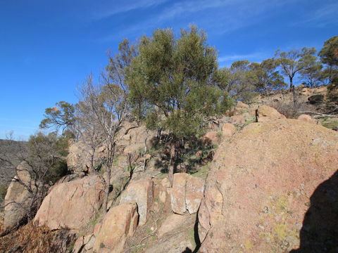 Eldorado And The Woolshed Valley - Accommodation Yamba 2
