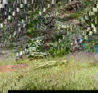 Federal Falls Walk - Accommodation Yamba