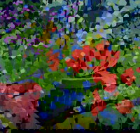 Ferry Artists Gallery - Accommodation Yamba