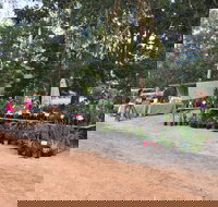 Fred's Pass Rural Market - Accommodation Yamba