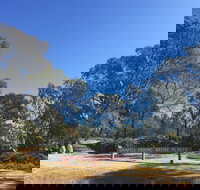 Grenfell Endemic Garden - Accommodation Yamba