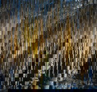 Hastings Caves and Thermal Springs - Accommodation Yamba