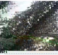 Henty Government Dam Nature Reserve - Accommodation Yamba